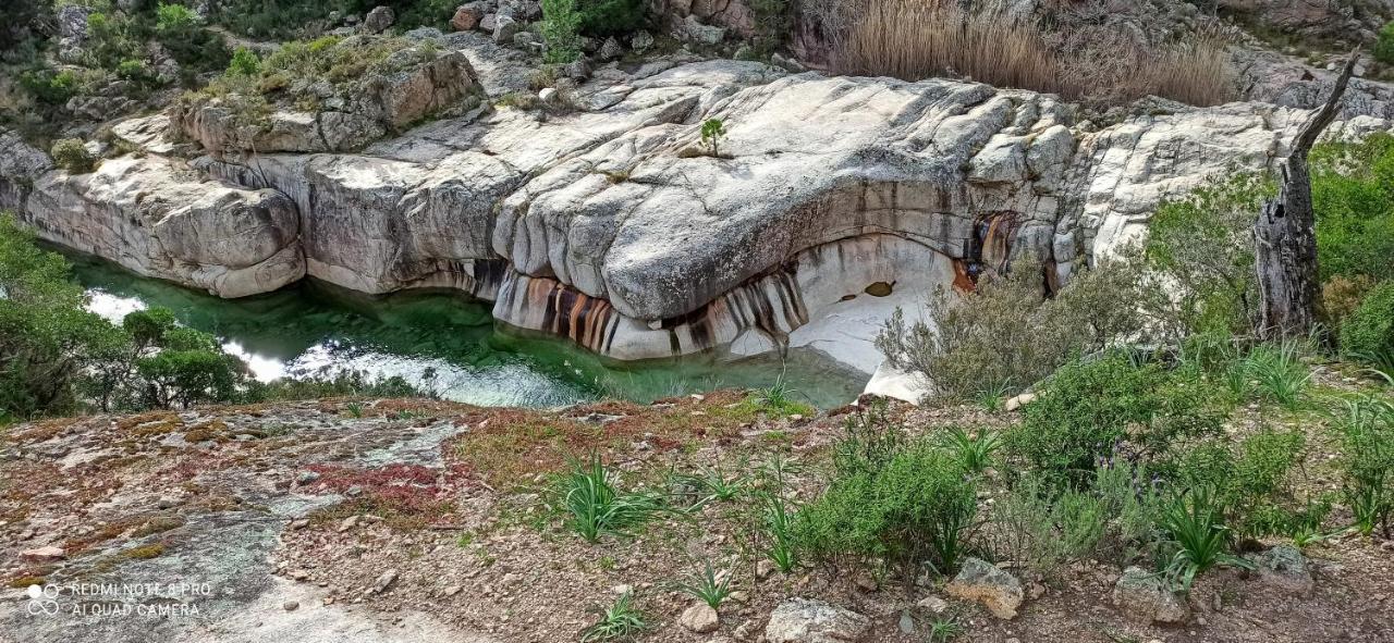 Arca C14 Apartman Porto-Vecchio  Kültér fotó