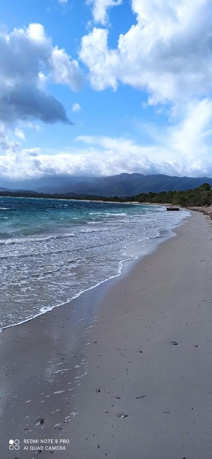 Arca C14 Apartman Porto-Vecchio  Kültér fotó